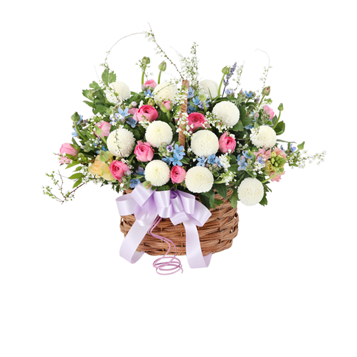 ȭ��Ʈ���� ��� �ɹٱ��� - ��ũ ��� ��� ���� �ɹٱ���, 99�ö�� | 72,800��