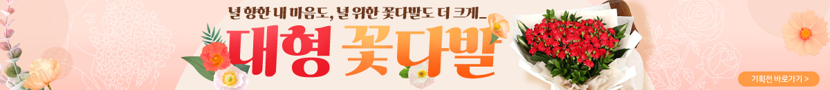 �����ɴٹ� ��ȹ��