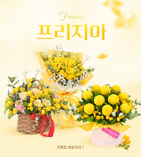 ½ÃÁð±âȹÀü ¹è³Ê