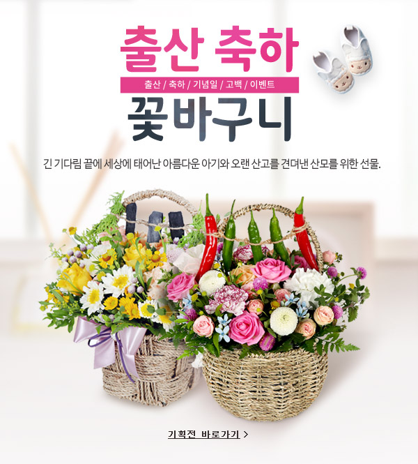 ½ÃÁð±âȹÀü ¹è³Ê