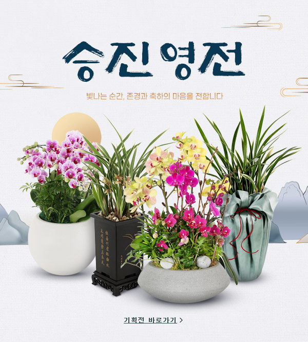 ½ÃÁð±âȹÀü ¹è³Ê