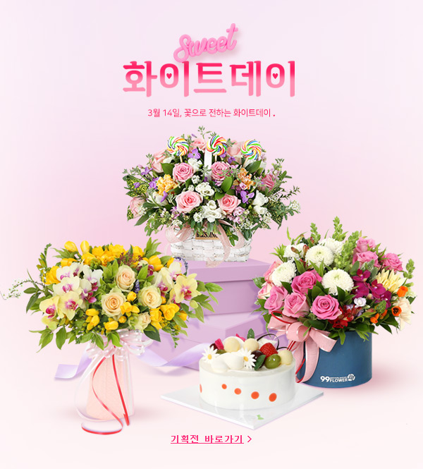 ½ÃÁð±âȹÀü ¹è³Ê